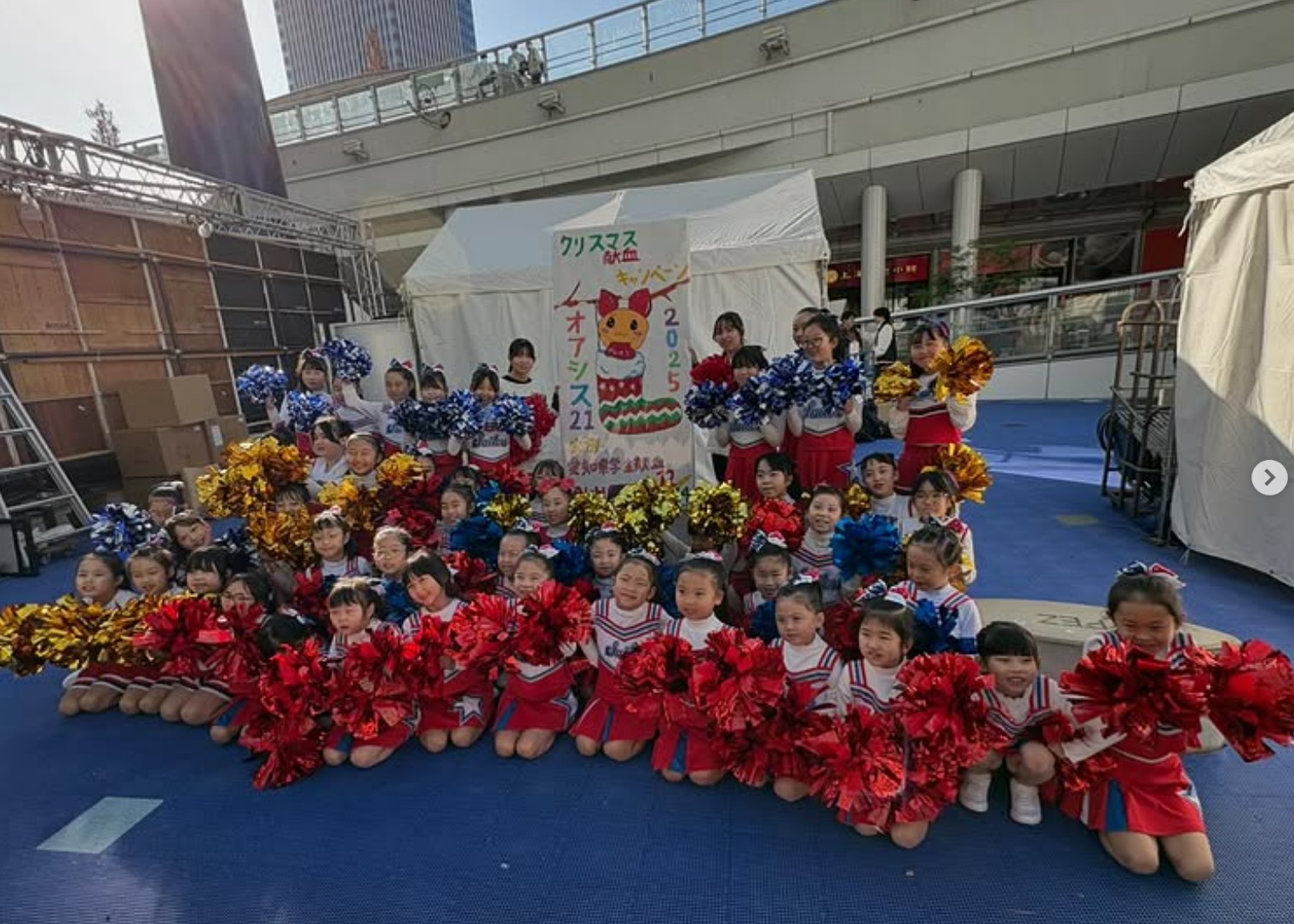 セイラーズ チア